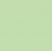 Фисташковый U6501